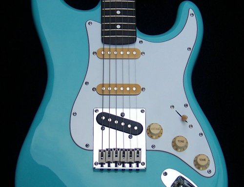 Guitar Muse Interview with Rick Mariner