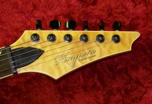 Haywire-Custom-Guitars-Custom Setups for guitar players
