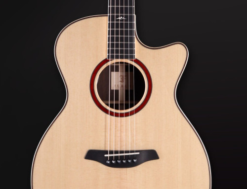 Stringed Instrument Repair